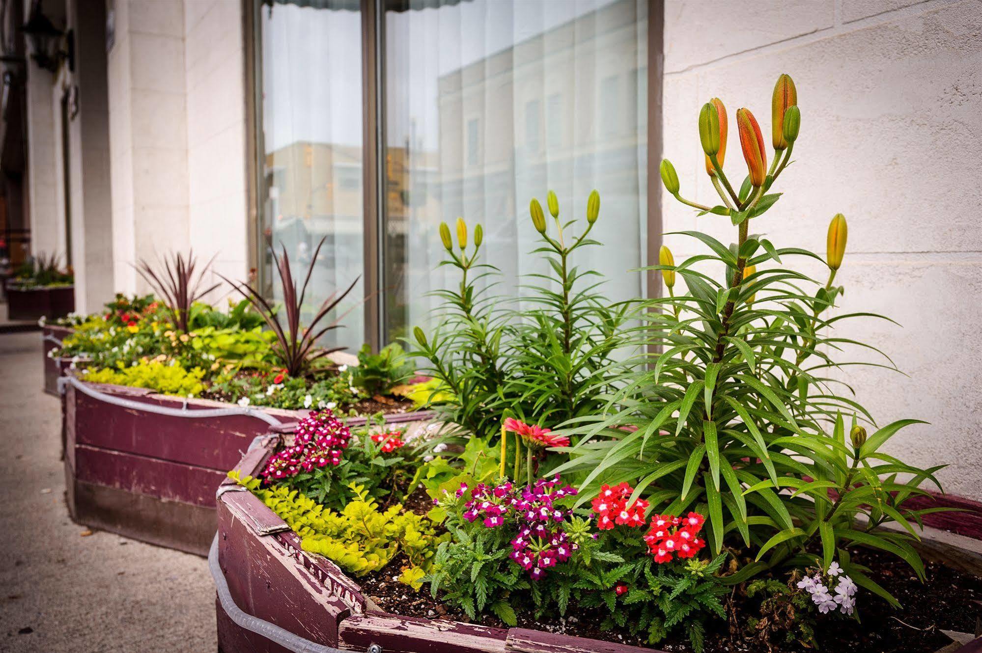 Peterborough Inn & Suites Hotel Dış mekan fotoğraf